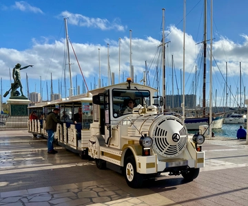 Tolone: Tour della città con il trenino