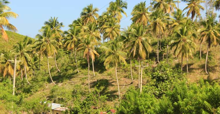Las Terrenas: Private Coffee Trail ATV Tour in Samana