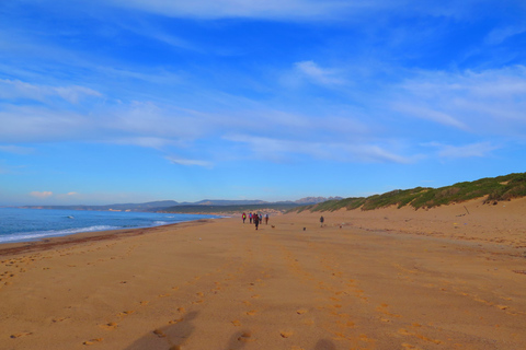From Cagliari: Piscinas Old Mines and Montevecchio Tour