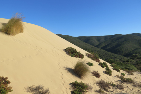 From Cagliari: Piscinas Old Mines and Montevecchio Tour
