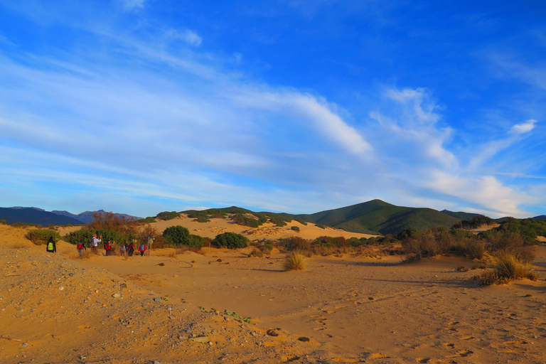 From Cagliari: Piscinas Old Mines and Montevecchio Tour