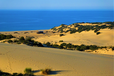 From Cagliari: Piscinas Old Mines and Montevecchio Tour