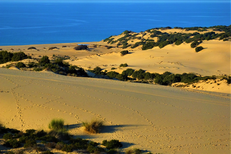 From Cagliari: Piscinas Old Mines and Montevecchio Tour