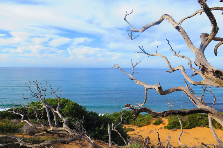 From Cagliari: Piscinas Old Mines and Montevecchio Tour