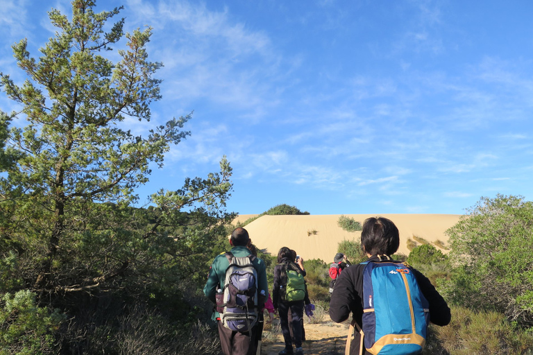From Cagliari: Piscinas Old Mines and Montevecchio Tour