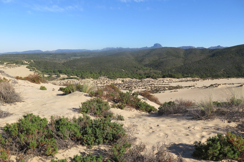 From Cagliari: Piscinas Old Mines and Montevecchio Tour