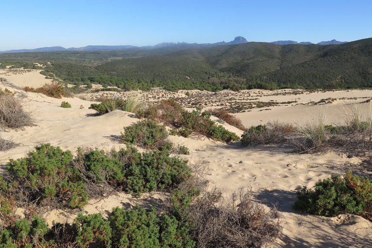 From Cagliari: Piscinas Old Mines and Montevecchio Tour