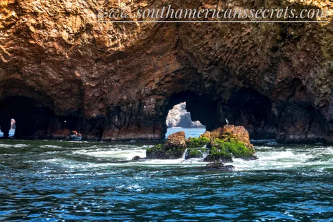 De Paracas: Excursão às Ilhas Ballestas com tudo incluído