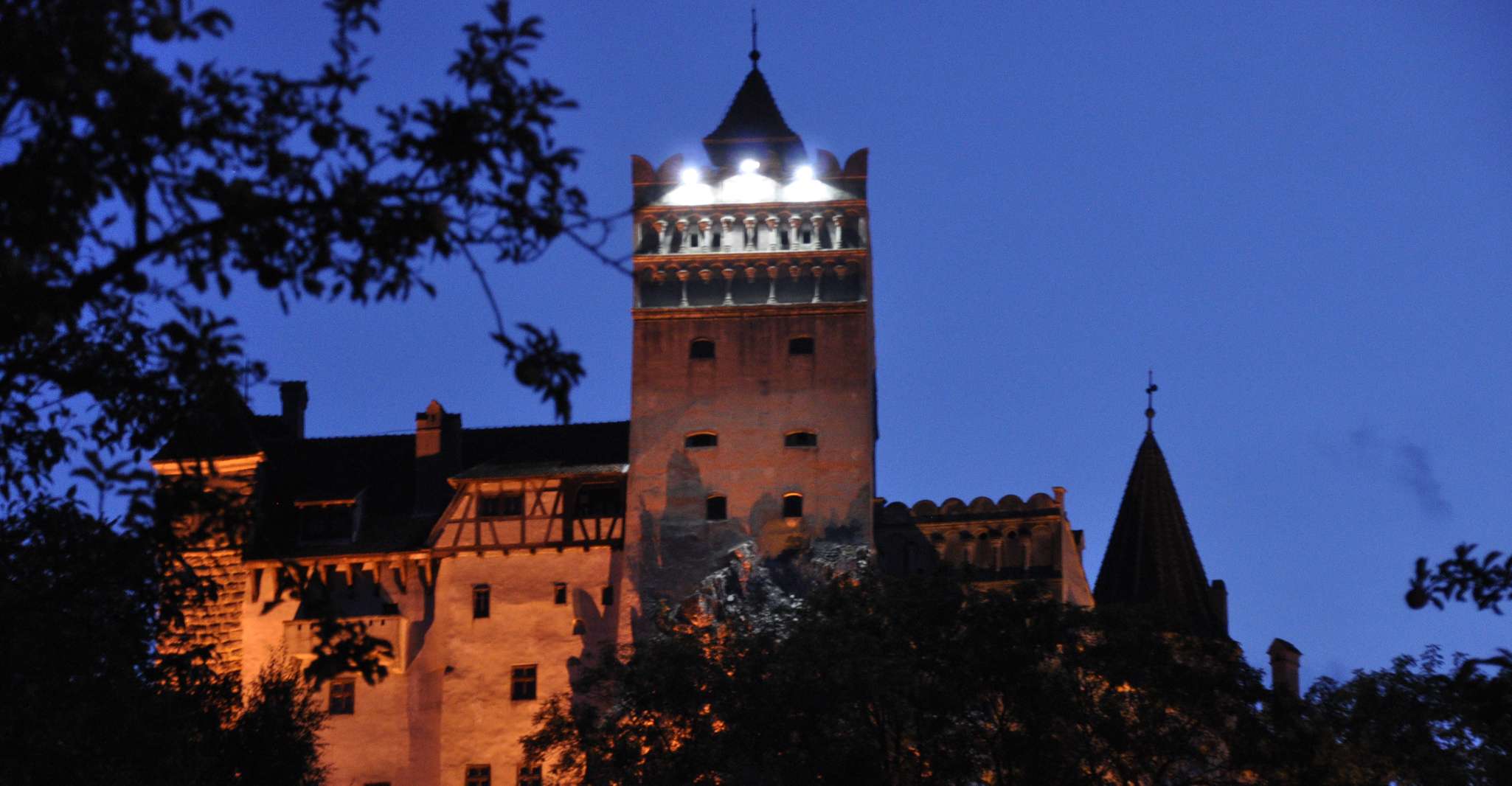 Brown Bear Sanctuary, Bran Castle & Rasnov Fortress Day Tour - Housity