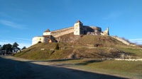 Brown Bear Sanctuary, Bran Castle & Rasnov Fortress Day Tour - Housity