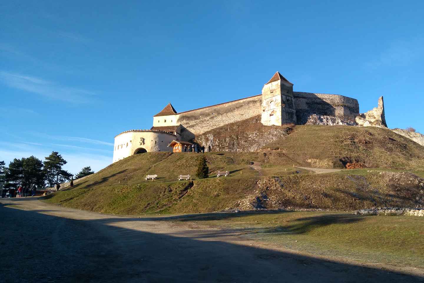 Visite : Ours, Château de Bran et Forteresse de Râșnov