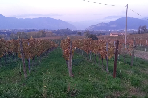 De Milan, visite de Brescia et de la région viticole de FranciacortaDe Milan, visite de la région viticole de Brescia et Franciacorta