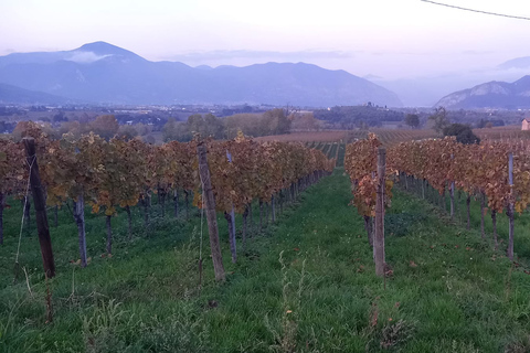 Milan: Brescia &amp; Franciacorta Guided Tour with Wine Tasting