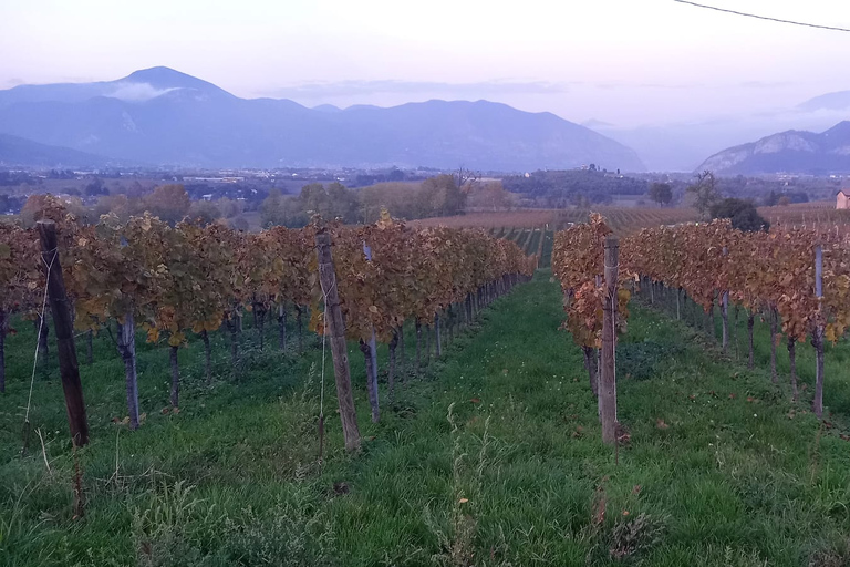 Von Mailand aus geht es nach Brescia und in das Weinbaugebiet FranciacortaVon Mailand aus Tour nach Brescia & Franciacorta Weinanbaugebiet