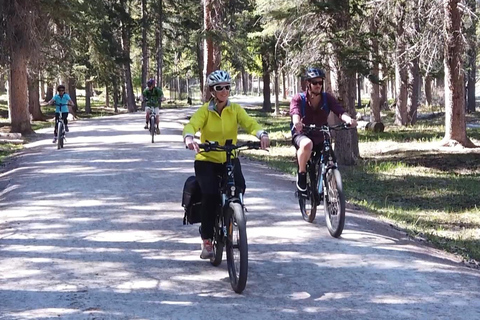 Banff: Bow River E-Bike Tour i Sundance Canyon HikeBanff: wycieczka rowerem elektrycznym po rzece Bow i wędrówka po kanionie Sundance