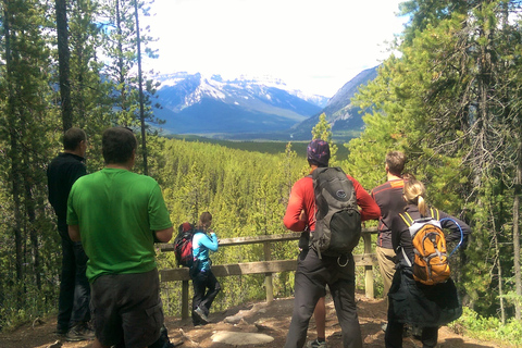 Banff : Excursion en vélo électrique sur la rivière Bow et randonnée dans le canyon Sundance