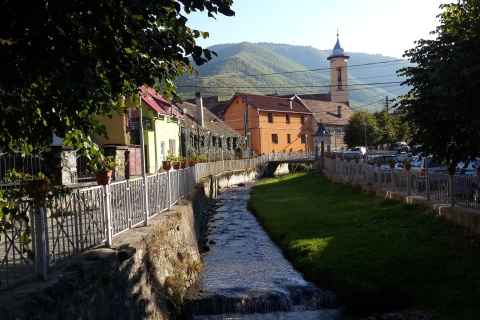 Excursion d'une journée à Sighisoara et Viscri depuis Brasov