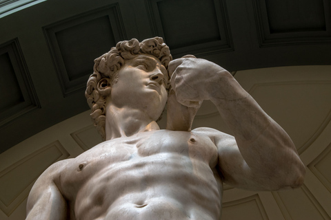 Florence: Accademia Gallery Guided Tour with Priority Access