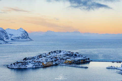 Au départ de Tromsø : Excursion d'une journée dans l'Arctique à Senja et Kvaløya avec déjeuner