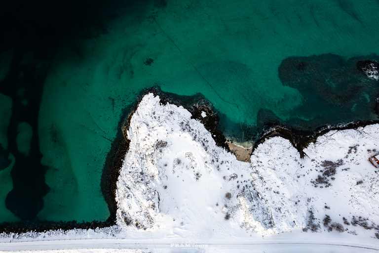 Au départ de Tromsø : Excursion d'une journée dans l'Arctique à Senja et Kvaløya avec déjeuner