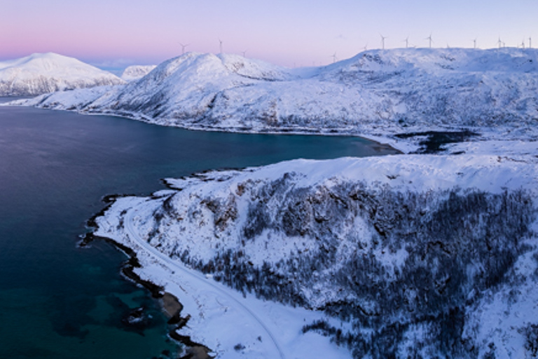 Från Tromsø: Senja och Kvaløya Arctic Day Trip med lunch