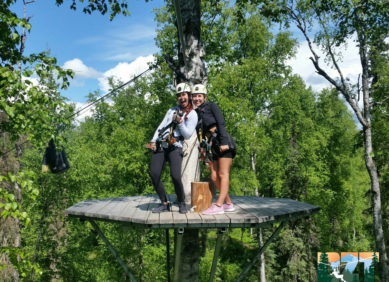 Talkeetna: Denali zipline-ture