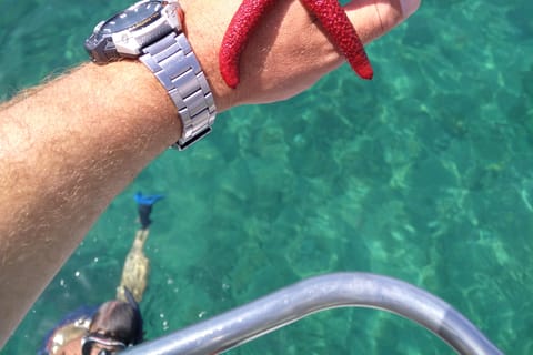Chania Town: Glass-Bottom Boat Cruise to Thodorou & Lazareta