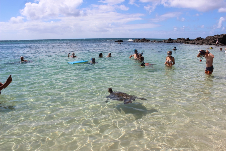 Oahu: Circle Island Full-Day Tour with North Shore Activity