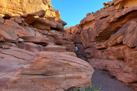 Van Sharm: privétour naar Dahab Canyon, ATV, kameel en lunch