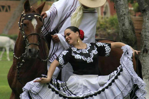 De Trujillo | espetáculo Marinera com cavalos de Paso Peruano