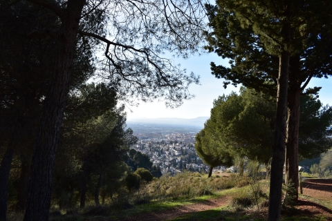 Granada: wandeltocht natuurpark AlhambraWandelen in het natuurpark aan de rand van het Alhambra