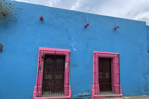 Depuis Monterrey : Expérience guidée d&#039;une demi-journée à Santiago