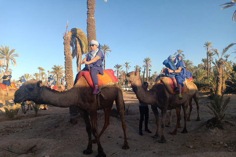 Excursion dans la vallée de l'Ourika et les montagnes de l'Atlas