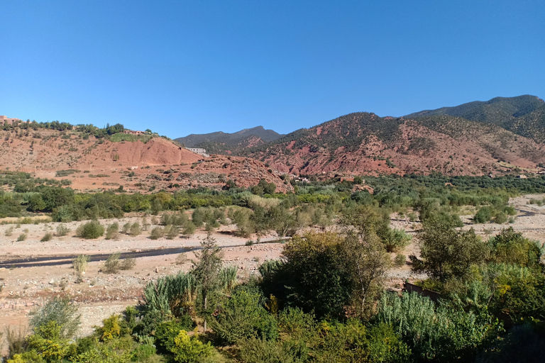 Excursion dans la vallée de l'Ourika et les montagnes de l'Atlas