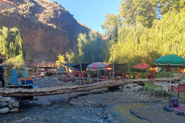 Excursion dans la vallée de l'Ourika et les montagnes de l'Atlas