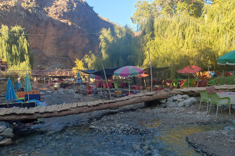 Excursion dans la vallée de l'Ourika et les montagnes de l'Atlas