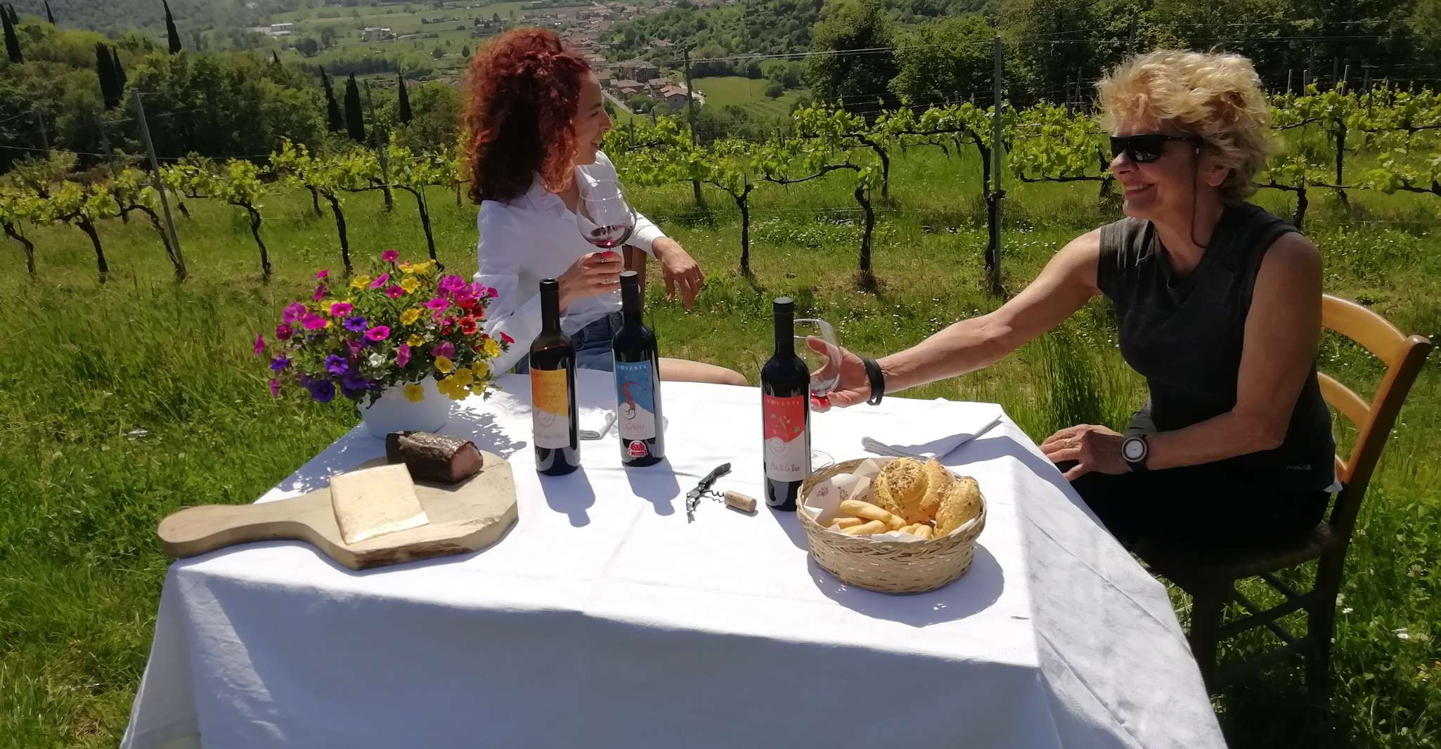 Botticino (BS), degustación de vinos en Noventa - Housity