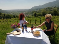 Botticino (BS), degustación de vinos en Noventa - Housity