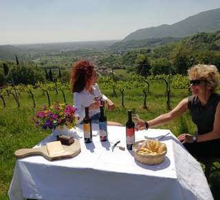 Day Trips and Tours from Brescia