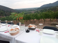 Botticino (BS), degustación de vinos en Noventa - Housity