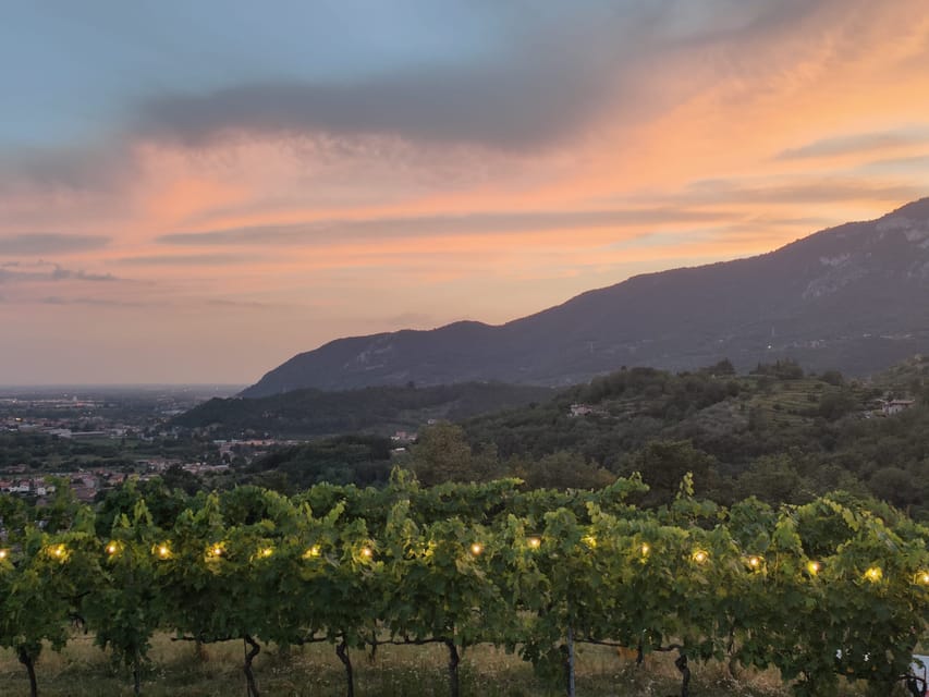 Botticino (BS), wine tasting at Noventa - Housity