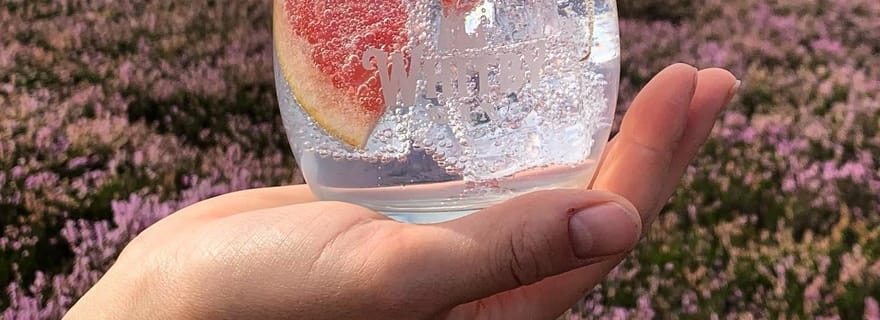 Whitby : Visite guidée de la distillerie avec dégustation de gin