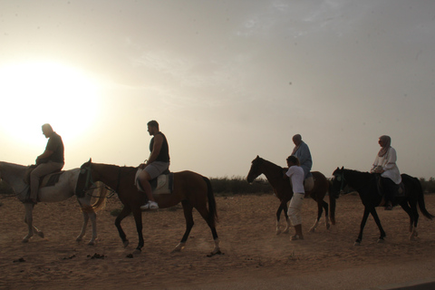 Agadir : balade à dos de chameau ou à cheval au coucher du soleil avec dîner barbecueAgadir : Balade au coucher du soleil à dos de chameau ou à cheval avec dîner barbecue