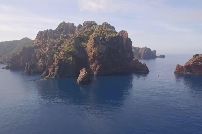 Calvi : visite guidée en bateau de Scandola et Piana