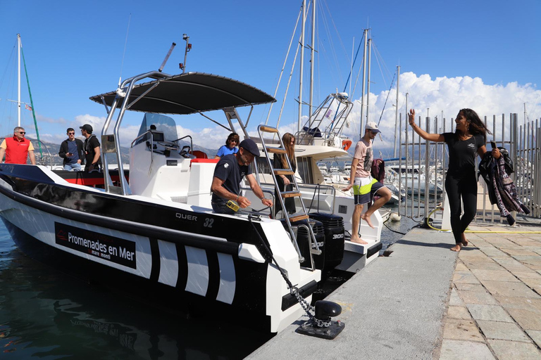 Calvi : visite guidée en bateau de Scandola et Piana