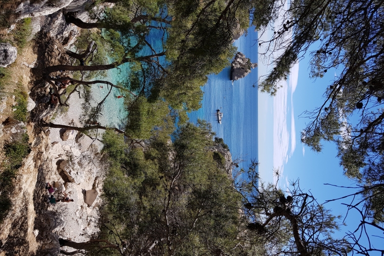 Calanques National Park: 6-Hour Hike