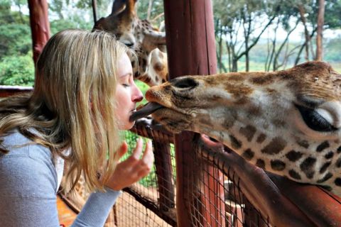 Nairobi: Giraffe Center and Elephant Orphanage Day Trip