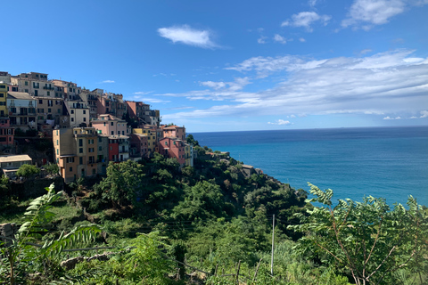 From Florence: Private Roundtrip Transfer to Cinque Terre