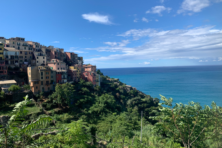 Från Florens: Privat transfer tur och retur till Cinque TerreFrån Florens: Från Florens till Cinque Terre: Privat transfer tur och retur till Cinque Terre