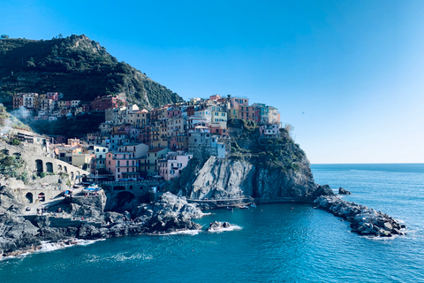 De Florença: Viagem de 1 dia a Cinque Terre de ônibusApenas transferência - italiano